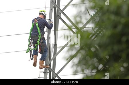 Elektriker arbeitet an einem Pol, Hochspannung Stockfoto