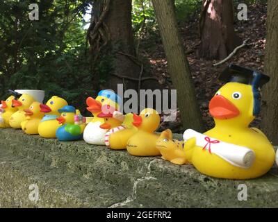 Berlin, Deutschland. August 2021. Zahlreiche Gummienten stehen auf dem Grabstein von Bernhard-Victor von Bülow aka Loriot auf dem Friedhof Heerstraße. Vicco von Bülow alias Loriot beeinflusste Generationen und bereicherte die deutsche Sprache. Der zehnte Todestag von ihm ist am 22. August. Quelle: Kathrin Deckart/dpa/Alamy Live News Stockfoto