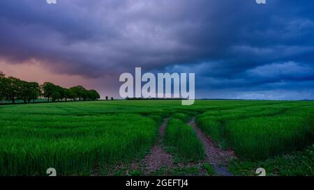 Hambledon. Großbritannien - 15. Mai 2021: Frühlingsstürme Wolken über Hampshire Hügel und Gassen, South Downs National Park, Großbritannien Stockfoto