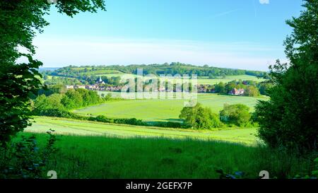 South Harting, Großbritannien - 14. Juni 2021: Blick auf South Harting, West Sussex, im Sommer am frühen Morgen im South Downs National Park Stockfoto