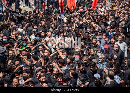 Schiitische Muslime aus Kaschmir schlugen ihre Brust, als sie während der Ashura-Prozession in Srinagar trauerten. Schiitisch-muslimische Gläubige beten, schlagen ihre Brust, singen religiöse Slogans und verteilen religiöse Speisen namens „nazri“, während sie Aspekte der Tötung von Imam Hussain und seinen 72 Anhängern im Jahr 680 n. Chr. in Karbala auf Aschura (dem 10. Von Muharram) im heutigen Irak nachspielen, Durch die viel größeren Armeen der Yeziden. Imam Hussain wird unter den Schiiten als der „Herr der Märtyrer“ verehrt, dessen Widerstand und Bereitschaft, angesichts überwältigender Gewalt für seinen religiösen Glauben zu sterben, von ihm verehrt wird Stockfoto