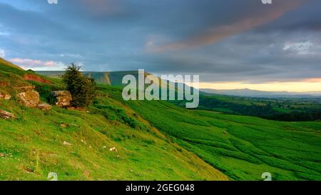Hay-on-Wye, Wales - 13. Juli 2021: Golden Hour Sunlight auf dem Blick von knapp unterhalb des Gospel Passes über die nördlichen Ausläufer der Black Mountains in Stockfoto