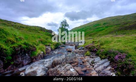 Ben Lawers, Schottland - 7. August 2021: Highland Stream, Wasserfall und Baum im Nachmittagslicht auf dem Allt Bail' A'mhuilinn, Ben Lawers in der Nähe von Glen Lyon Stockfoto