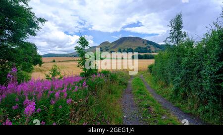 Lochleven, Schottland - 8. August 2021: Benarty Hill bei Lochleven, Schottland Stockfoto