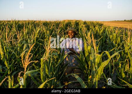 Bauer steht in seinem wachsenden Maisfeld. Er ist zufrieden wegen des guten Fortschritts der Pflanzen. Stockfoto