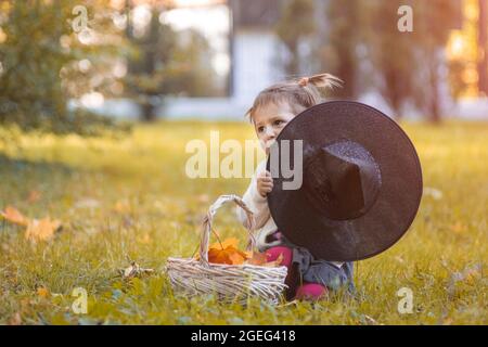 halloween-Konzept. Niedliches Kleinkind versteckt sich hinter einem Hexenhut im Herbstpark. Stockfoto