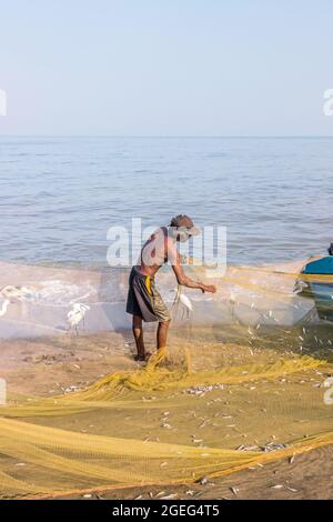 Fischer, die auf dem Strandfischmarkt in Negombo arbeiten Stockfoto