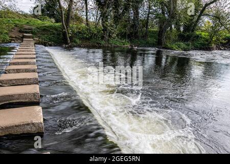 Quadratische Betonsteine über den Fluss Skell , Ripon, North Yorkshire, England, Großbritannien. Stockfoto
