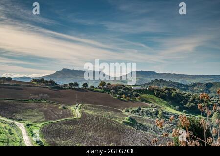 Typische ländliche Landschaft Siziliens mit den Hochebenen von Enna und Calascibetta im Hintergrund. Stockfoto