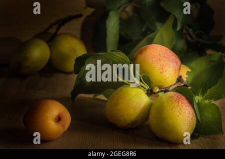 Reife saftige Aprikosenfrüchte auf dunklem Holzhintergrund in großer Menge Stockfoto
