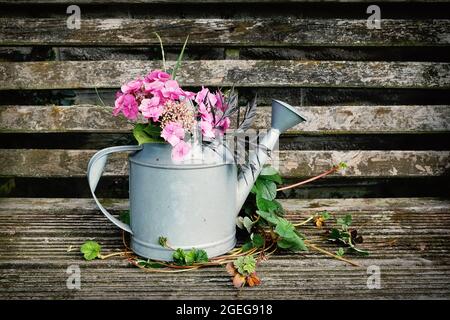 Eine rustikale Vintage-Gießkannel voller Sommerblumen auf einer Holzbank, umgeben von Erdbeerpflanzen Stockfoto