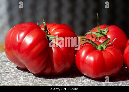 Reife rosa leckere monterosa-Tomaten aus Spanien aus nächster Nähe Stockfoto