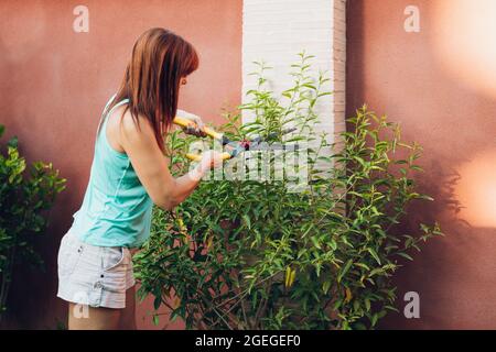 Rothaarige Frau, die nächtlich blühenden Jasmin mit Baumscheren beschneidet Stockfoto