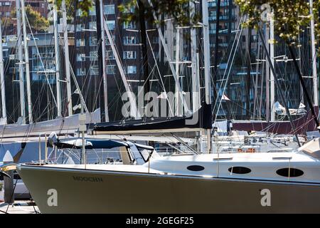 Sydney, Australien. Freitag, 20. August 2021. Allgemeiner Blick auf die am Hafen von Sydney im Rushcutters Bay Park verankerten Segelyachten. Der Lockdown von Sydney wurde bis zum 30. September im Großraum Sydney verlängert, da die Zahlen der COVID-19 Delta-Strain-Case-Fälle weiter steigen. Gesichtsmasken sind jetzt im Freien in ganz NSW obligatorisch, es sei denn, sie trainieren. Quelle: Paul Lovelace/Alamy Live News Stockfoto