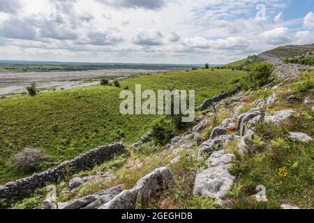 Der Burren-Nationalpark enthält Beispiele aller wichtigen Lebensräume und Landformen, die in den Burren-Kalkfelden zu finden sind Stockfoto