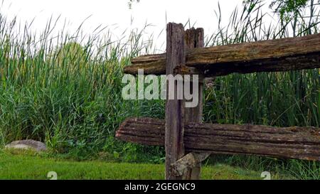 Nahaufnahme eines alten Holzzauns vor einem Bach mit hohen Rohrkäfelpflanzen und Vegetationswachstum im Hintergrund. Stockfoto