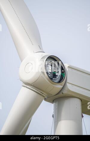 Bau von Windmühlen durch die Firma Tout Vent Energies rund um die Stadt Torxe (Mittelwestfrankreich), valorem, vertikal integrierte grüne en Stockfoto