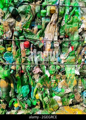 Recycelte Kunststoffflaschen in Ballen in einer Recyclingeinrichtung Stockfoto