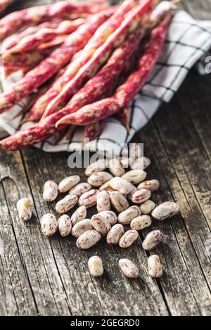 Cranberry-Bohnen. Borlotti-Bohnen. Bohnen Schoten auf Holztisch. Stockfoto