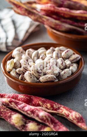 Cranberry-Bohnen. Borlotti Bohnen in einer Schüssel. Bohnen-Hülsen. Stockfoto