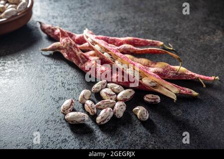 Cranberry-Bohnen. Borlotti-Bohnen. Bohnen auf schwarzem Tisch. Stockfoto