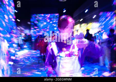 Odaiba, Tokio, Japan - 02. Januar 2020: Schöner Projektor und reflektierende Lichteffekte auf dem EPSON teamLab Borderless. Stockfoto