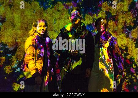 Odaiba, Tokio, Japan - 02. Januar 2020: Schöner Projektor und reflektierende Lichteffekte auf dem EPSON teamLab Borderless. Stockfoto