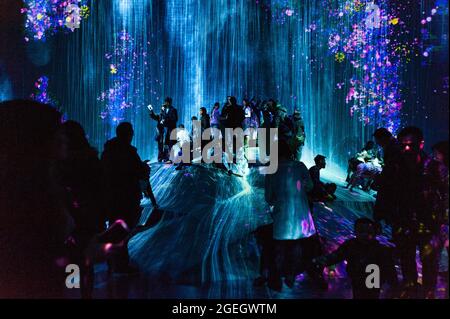 Odaiba, Tokio, Japan - 02. Januar 2020: Schöner Projektor und reflektierende Lichteffekte auf dem EPSON teamLab Borderless. Stockfoto