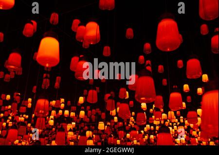 Odaiba, Tokio, Japan - 02. Januar 2020: Schöner Projektor und reflektierende Lichteffekte auf dem EPSON teamLab Borderless. Stockfoto