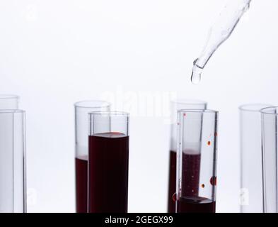 Nahaufnahme einer Pipette, die eine rote Probe in einen Testkolben tropft. Das Konzept der Analysen und Diagnostik Stockfoto