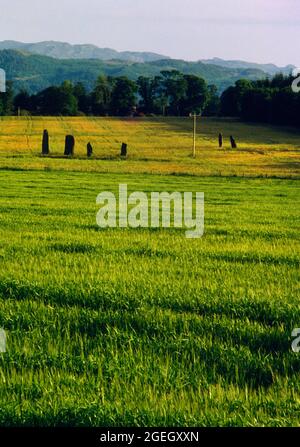 Sehen Sie sich die SSW der Ballymeanoch Standing Stones in Kilmartin Glen, Argyll, Schottland, Großbritannien an, die zwei parallele lineare Einstellungen von Steinen zeigt, die NW-SE ausgerichtet sind. Stockfoto