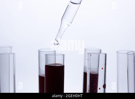 Nahaufnahme einer Pipette, die eine rote Probe in einen Testkolben tropft. Das Konzept der Analysen und Diagnostik Stockfoto