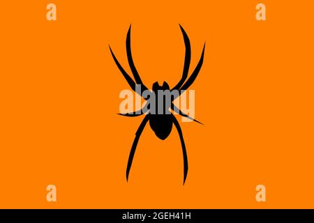 Silhouette einer schwarzen Spinne auf einem orangefarbenen Hintergrund. Das Insekt befindet sich in der Mitte der Abbildung. Stockfoto