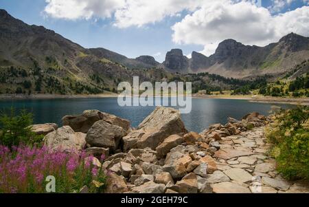 Allos See am Morgen während der Sommerzeit, mit rosa Alpenblumen, und gepflasterten Weg Stockfoto