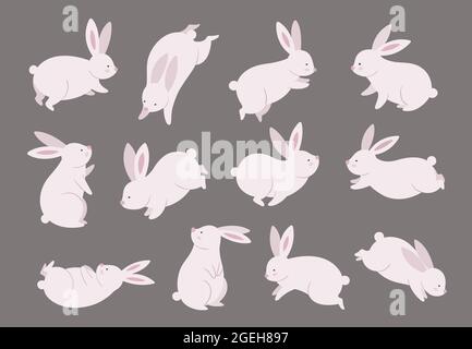 Herbsthase. Chinesisches Fest, Kaninchen moderne Charakter gesetzt. Asiatische lustige flache Urlaub Tiere, orientalische Mond fest Vektor-Illustration Stock Vektor