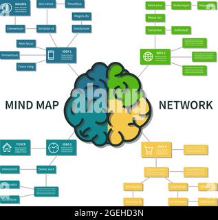 Infografik zur Mindmap. Abstraktes Gehirn Denken Prozessschema, Business Steps Planung Vektor-Konzept Stock Vektor