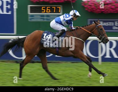 Winter Power von Silvestre De Sousa gewinnt den Coolmore Wootton Bassett Nunthorpe Stakes während des Coolmore Nunthorpe Day des Welcome to Yorkshire Ebor Festival 2021 auf der Pferderennbahn in York. Bilddatum: Freitag, 20. August 2021. Siehe PA Story RACING York. Bildnachweis sollte lauten: Nigel French/PA Wire. EINSCHRÄNKUNGEN: Die Nutzung unterliegt Einschränkungen. Nur redaktionelle Verwendung, keine kommerzielle Nutzung ohne vorherige Zustimmung des Rechteinhabers. Stockfoto