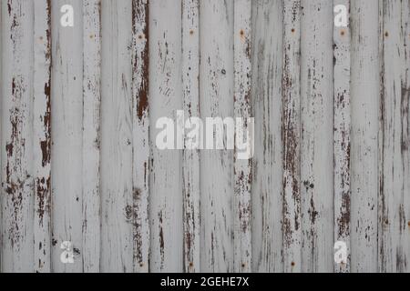 Textur der weißen Holzoberfläche mit vertikalen Streifen oder Lamellen, rostigen Nieten und rissiger Farbe. Alter verwitterter Torhintergrund Stockfoto