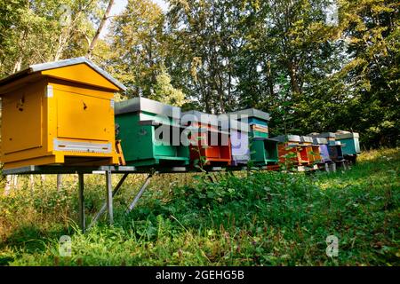 Serie von kleinen Bienenstöcken für die Produktion von Honig in der Sommersaison Stockfoto