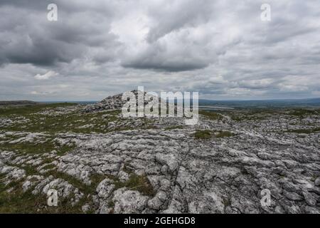 Der Burren-Nationalpark enthält Beispiele aller wichtigen Lebensräume und Landformen, die in den Burren-Kalkfelden zu finden sind Stockfoto