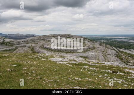 Der Burren-Nationalpark enthält Beispiele aller wichtigen Lebensräume und Landformen, die in den Burren-Kalkfelden zu finden sind Stockfoto