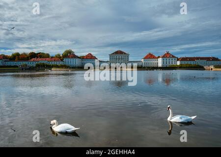 Schwan im Teich bei Schloss Nymphenburg. München, Bayern, Deutschland Stockfoto