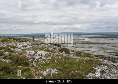 Der Burren-Nationalpark enthält Beispiele aller wichtigen Lebensräume und Landformen, die in den Burren-Kalkfelden zu finden sind Stockfoto