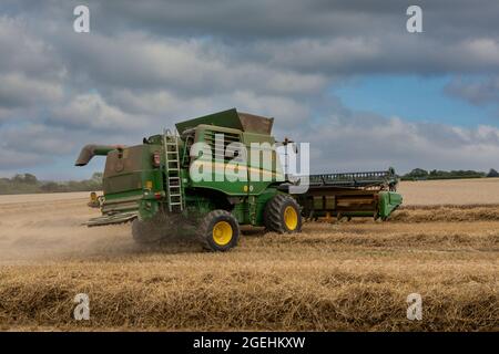 John Deere kombinieren Harvester, um ein Weizenfeld im Süden Englands leicht zu bearbeiten. Stockfoto