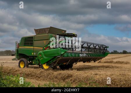 John Deere kombinieren Harvester, um ein Weizenfeld im Süden Englands leicht zu bearbeiten. Stockfoto