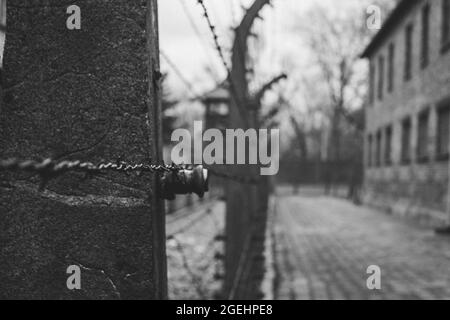 Nahaufnahme der Graustufen der Stacheldraht-Metalldrähte im Konzentrationslager Auschwitz, Oswiecim, Polen Stockfoto
