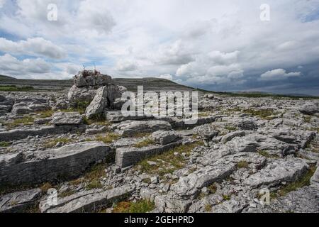 Der Burren-Nationalpark enthält Beispiele aller wichtigen Lebensräume und Landformen, die in den Burren-Kalkfelden zu finden sind Stockfoto