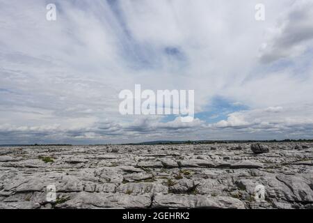 Der Burren-Nationalpark enthält Beispiele aller wichtigen Lebensräume und Landformen, die in den Burren-Kalkfelden zu finden sind Stockfoto