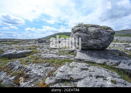 Der Burren-Nationalpark enthält Beispiele aller wichtigen Lebensräume und Landformen, die in den Burren-Kalkfelden zu finden sind Stockfoto