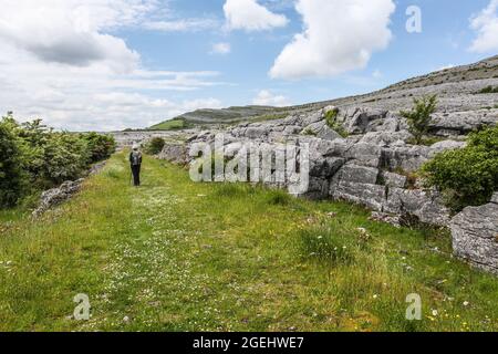 Der Burren-Nationalpark enthält Beispiele aller wichtigen Lebensräume und Landformen, die in den Burren-Kalkfelden zu finden sind Stockfoto